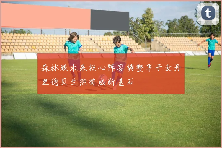 森林狼未来核心阵容调整华子麦丹里德贝兰热将成新基石